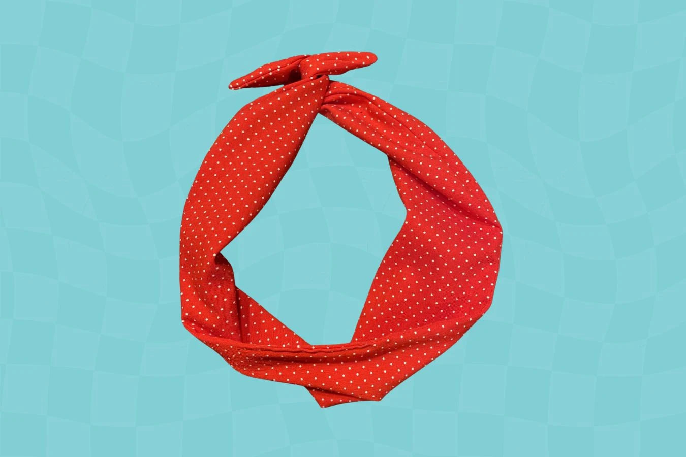 Accessoires pour cheveux