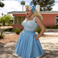 Top Chevy 50's Vichy Bleu Bébé – Queen Of The Main